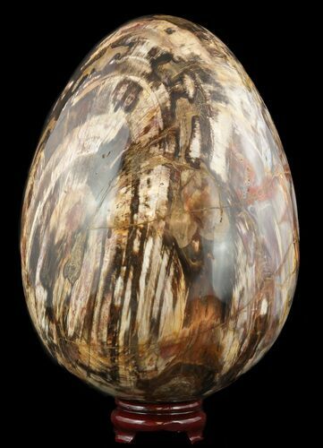 Giant Polished Petrified Wood Egg - Lbs #51660